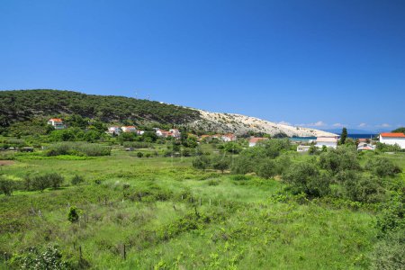 Photo for View of farmland in Croatia on the island of Rab Lopa - Royalty Free Image