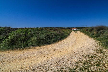 Photo for Rocky path to the beach in Croatia on Rab Islan - Royalty Free Image