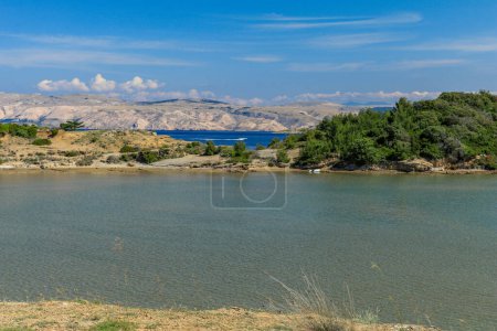 Photo for An inaccessible beach without people on the island of Rab in Croatia - Royalty Free Image