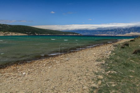 Photo for Podsilo beach on the island of Rab in summer in Croatia - Royalty Free Image