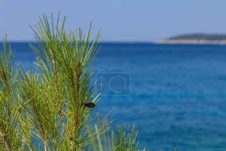 Photo for Pebble beach vacation on the Adriatic Sea in Pula Istria Kamenjak in Croatia - Royalty Free Image