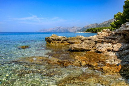 Foto de Costa rocosa del mar Adriático en Croacia, agua azul, sk claro - Imagen libre de derechos