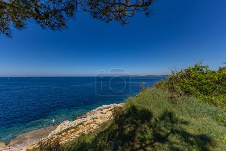 Istria Kamenjak Peninsula beautiful beaches high cliffs for jumping into the water wild nature