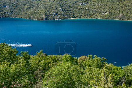 Point de vue sur le canal de Lim en Istrie Croatie