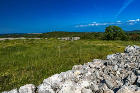 Établissement de Monkodonja de l'âge du bronze, site archéologique de Rovinj en Croatie 