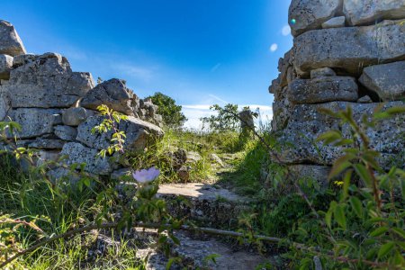 Téléchargez les photos : Établissement de Monkodonja de l'âge du bronze, site archéologique de Rovinj en Croatie - en image libre de droit