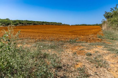 Verano caliente tierra roja seca en el campo agricultores desastre natural Croacia Istria Pula Kamenja