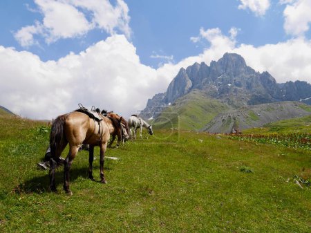 Téléchargez les photos : Chevaux dans la vallée de la Juta, montagnes Chaukhi en arrière-plan. Région de Kazbegi, Géorgie. Photo de haute qualité - en image libre de droit