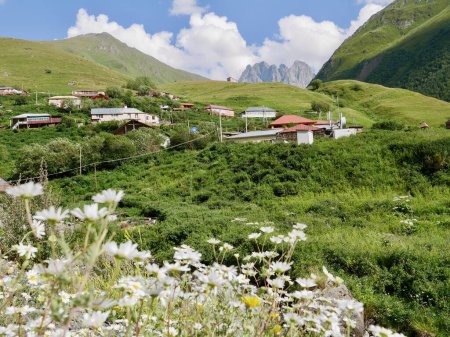 Téléchargez les photos : Village de Juta en été avec des montagnes Chaukhi en arrière-plan. Région de Kazbegi, Géorgie. Photo de haute qualité - en image libre de droit