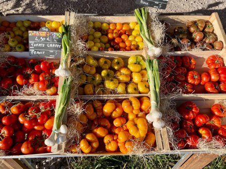 Téléchargez les photos : Variétés colorées de tomates en vente au marché fermier local d'Aix en Provence, France. Photo de haute qualité - en image libre de droit