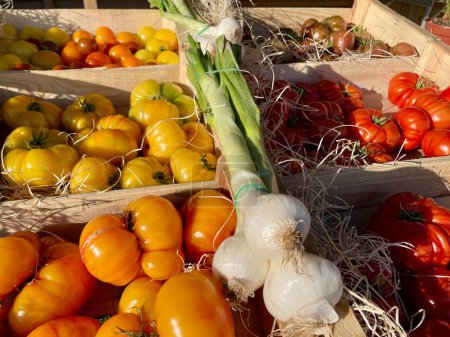 Foto de Variedades coloridas de tomates a la venta en el mercado de agricultores locales en Aix en Provence, Francia. Foto de alta calidad - Imagen libre de derechos