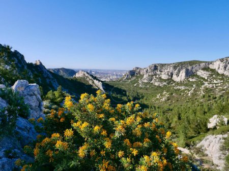 Téléchargez les photos : Marseille à partir de Col de Sormiou dans les Calanques, Provence, France. Photo de haute qualité - en image libre de droit