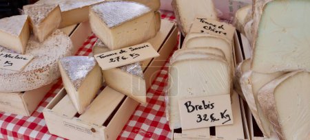 Foto de Surtido de queso francés en el mercado de agricultores locales en Aix-en-Provence, Provenza, Francia. Foto de alta calidad - Imagen libre de derechos