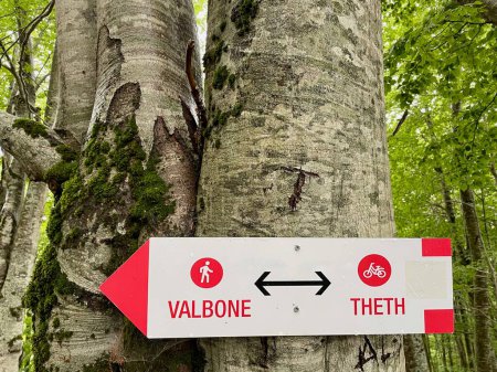 Téléchargez les photos : Gros plan du panneau indiquant le chemin de Theth à Valbona, célèbre trek dans les Alpes albanaises. Photo de haute qualité - en image libre de droit