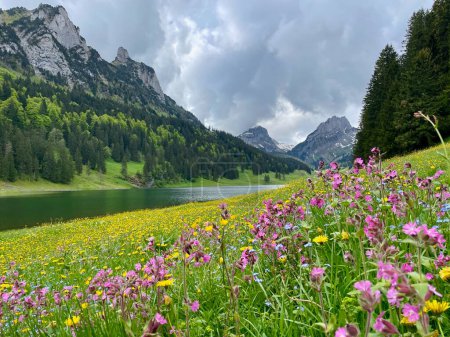 Vue panoramique de Saemtisersee avec prairie de fleurs sauvages à Alpstein, Appenzell, Suisse. Photo de haute qualité