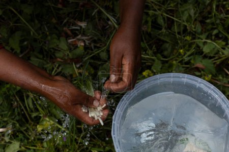 Manos de una indígena peruana limpiando ramas de perejil con agua para sazonar su comida