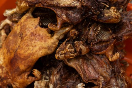 Conejillo de Indias frito, comida tradicional de los Andes