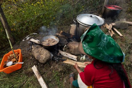 Mujer indígena cocinando sobre leña con macetas de metal y sartén Cuy (conejillo de Indias), comida tradicional de los Andes