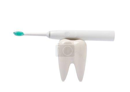 Photo for Toothbrush and tooth model isolated on white background.electric toothbrush. A set of toothbrushes in holders. Oral care concept. Dentist concept. - Royalty Free Image