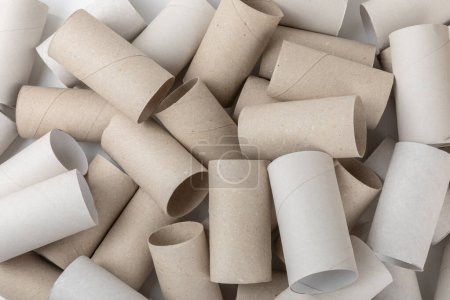Leere Toilettenpapierrolle. Rollen Toilettenpapier auf weißem Hintergrund. Papierschlauch aus Toilettenpapier. Platz für Text. Kopierraum. Flach lag er. Umweltfreundliches Recycling