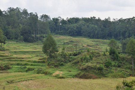 Foto de Natural Landscape of Tana Toraja, Indonesia. Daytime photo - Imagen libre de derechos