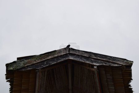 Foto de El techo de la casa tradicional Toraja con el cielo en tiempo claro. Las aves se posan en él. - Imagen libre de derechos