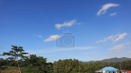 Beau paysage naturel de Tana Toraja, Indonésie. Arbres et ciel bleu. Photo de jour
