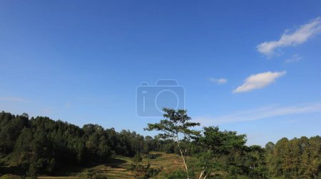 Hermoso paisaje natural de Tana Toraja, Indonesia. Árboles y cielo azul. Foto diurna