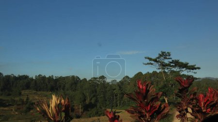 Foto de Hermoso paisaje natural de Tana Toraja, Indonesia. Árboles y cielo azul. Foto diurna - Imagen libre de derechos