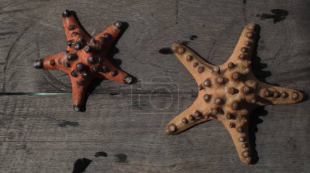 Dos estrellas de mar sobre fondo de madera