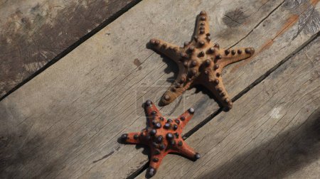 Two starfish on wooden background