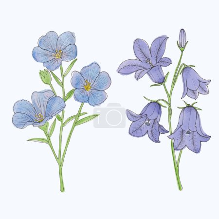 Mejore sus proyectos florales con esta ilustración floral dibujada a mano. Descarga para un toque de primavera!