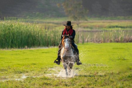 Foto de A caballo, un hombre jinetes a caballo en el prado verde - Imagen libre de derechos