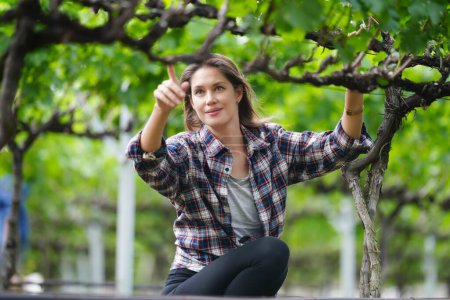 Téléchargez les photos : Une agricultrice vérifie la récolte du raisin à la ferme écologique - en image libre de droit