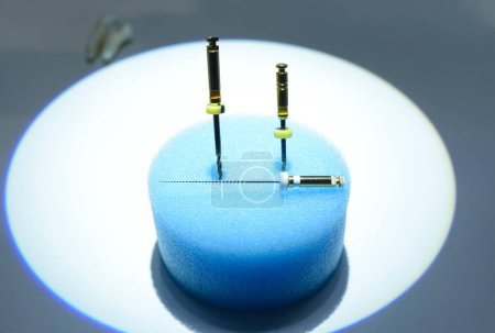 Photo for Dental Endodontic rotary files burs placed on a stand. - Royalty Free Image
