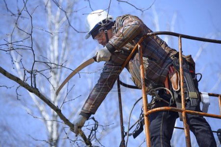 Téléchargez les photos : Arborist cutting branches of a tree with handsaw using truck-mounted lift. February 10, 2020. Kyiv, Ukraine - en image libre de droit
