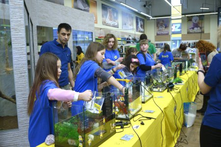 Photo for Lesson of aquarium husbandry. Girls students arranging decorations in an empty aquariums. February 4, 2019. Kiev, Ukraine - Royalty Free Image