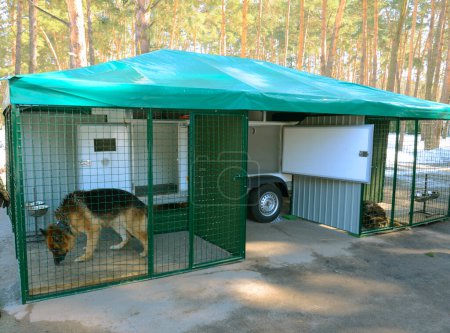 Téléchargez les photos : Triste chien de l'armée, berger allemand, assis dans une cage d'une volière militaire mobile. Staroe, Ukraine. - en image libre de droit