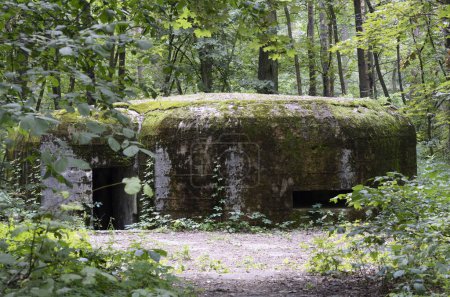 Téléchargez les photos : Vieux, de la Seconde Guerre mondiale fois, casemate construite dans la forêt - en image libre de droit