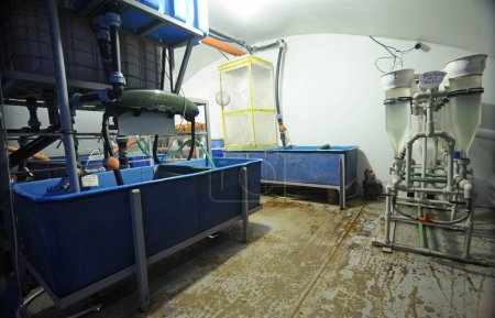 Foto de Pesca de interior: frascos aparatos Weiss - y tanques establecidos para la incubación de huevas de esturión, caviar en el interior. Kiev, Ucrania - Imagen libre de derechos