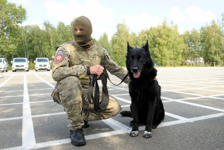 Téléchargez les photos : Soldat de l'unité KORD (SWAT ukrainien) en uniforme et son chien policier assis sur le sol. 5 septembre 2018. Kiev, Ukraine - en image libre de droit