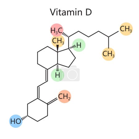 Chemical organic formula of vitamin D diagram schematic raster illustration. Medical science educational illustration