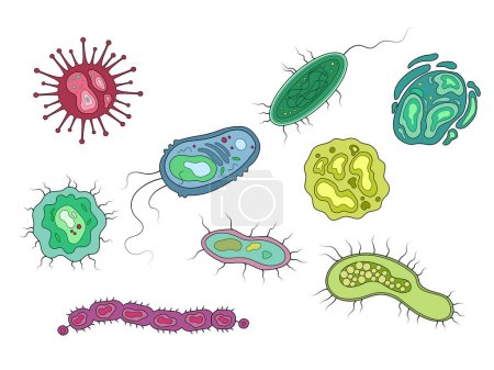 Téléchargez les photos : Illustration matricielle schématique des bactéries et des microorganismes. Illustration pédagogique en sciences médicales - en image libre de droit