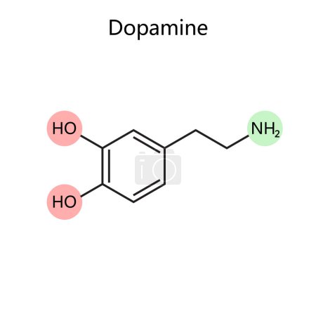 Téléchargez les photos : Formule organique chimique du diagramme de dopamine illustration schématique raster. Illustration pédagogique en sciences médicales - en image libre de droit