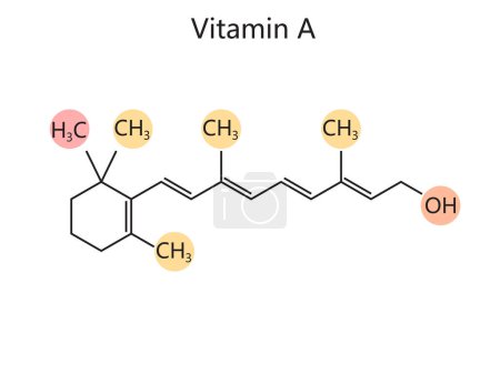 Téléchargez les photos : Formule chimique organique de la vitamine A illustration schématique raster. Illustration pédagogique en sciences médicales - en image libre de droit