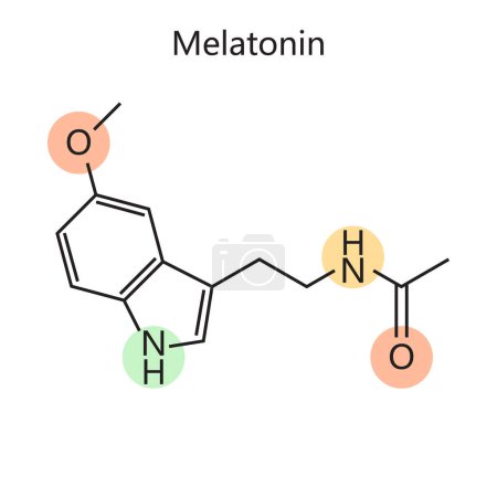 Melatonin chemical organic formula diagram schematic raster illustration. Medical science educational illustration