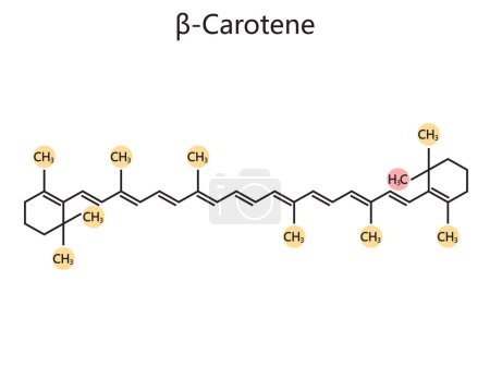 Foto de Fórmula química orgánica del diagrama de betacaroteno ilustración de trama esquemática. Ilustración educativa de ciencias médicas - Imagen libre de derechos