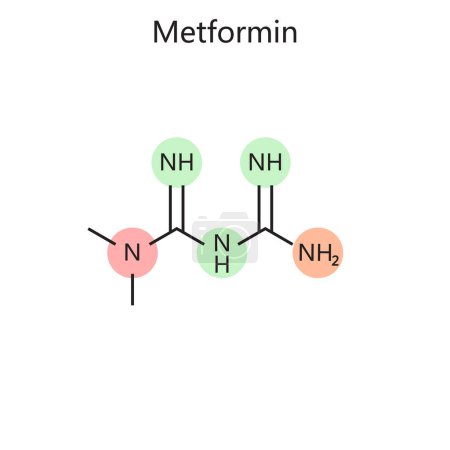 Chemical organic formula of Metformin diagram hand drawn schematic raster illustration. Medical science educational illustration