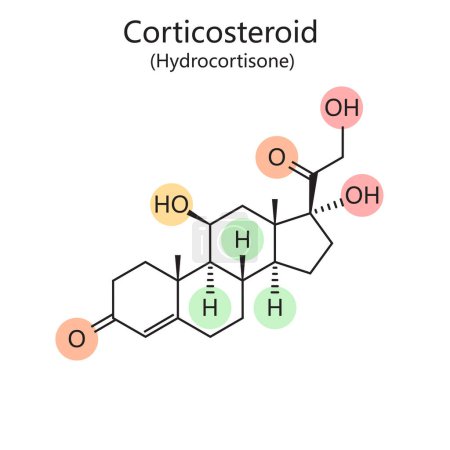 Chemische organische Formel der molekularen Struktur des Hydrocortison-Diagramms handgezeichnete schematische Rasterdarstellung. Pädagogische Illustration der Medizinwissenschaften