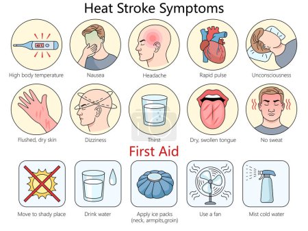 heat stroke and effective first aid responses including moving to shade and hydration diagram hand drawn schematic raster illustration. Medical science educational illustration